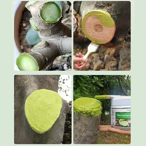 Wound Healing Agent