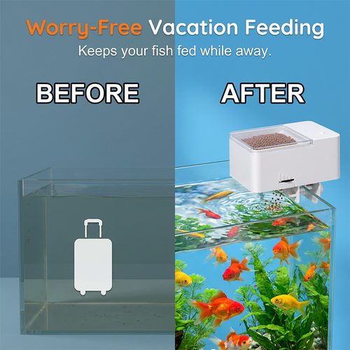 Automatic Fish Food Feeder