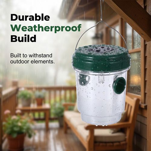 Solar-powered hanging wasp trap