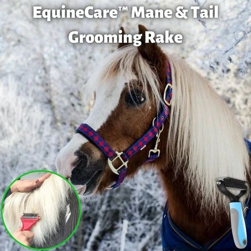 Equine Care Mane & Tail Grooming Rake