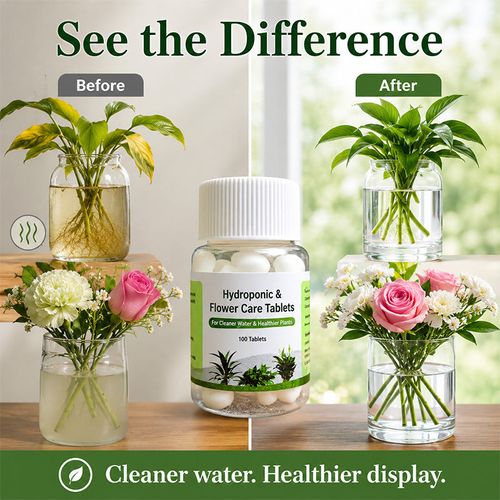 Purifying Tablets for Hydroponic Plants