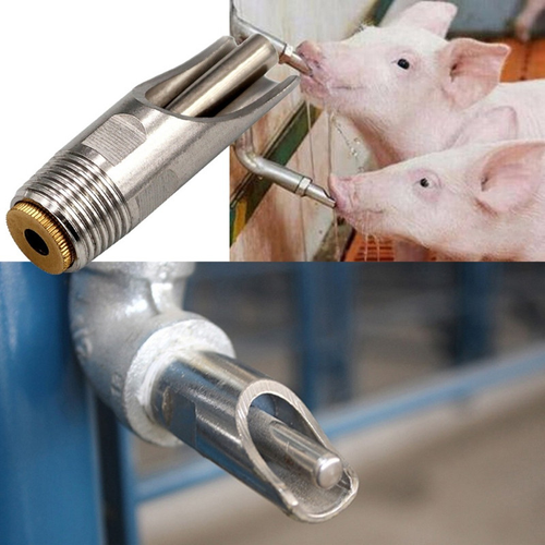 Steel Pig Drinker