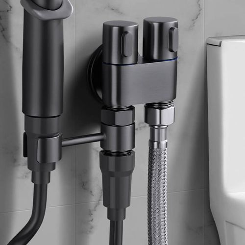 1 Input 2 Output Dual Control Valve