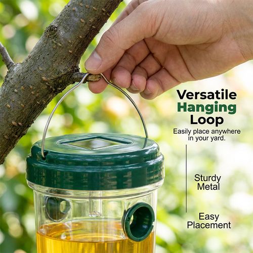 Solar-powered hanging wasp trap