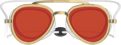 Full-View Anti-Fog Swim Goggle