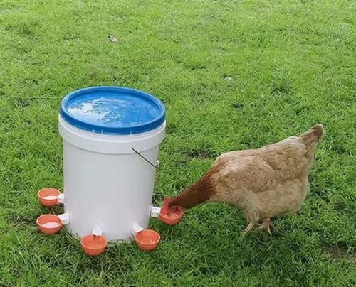 Automatic Animal Water Cups