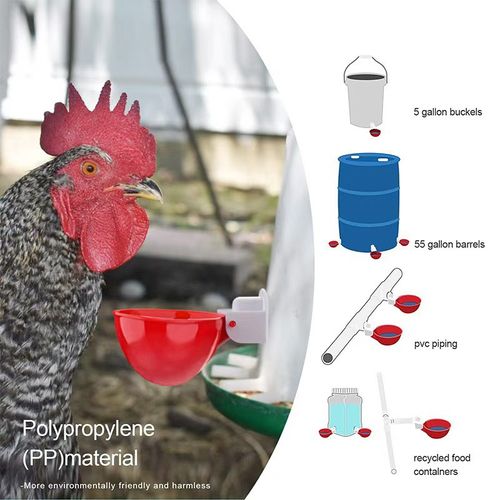 Automatic Animal Water Cups