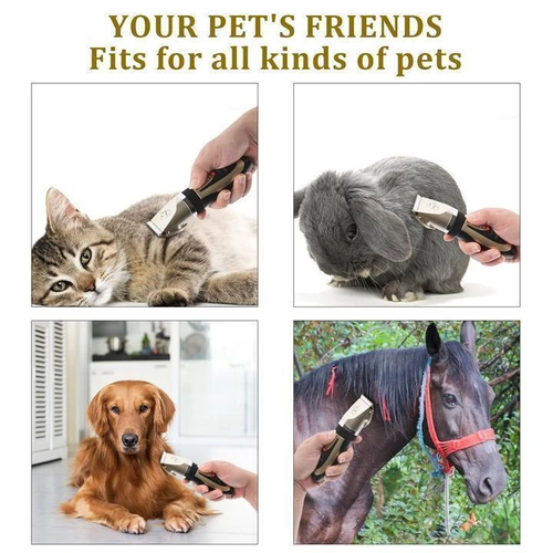 Cordless clipper kit for horses