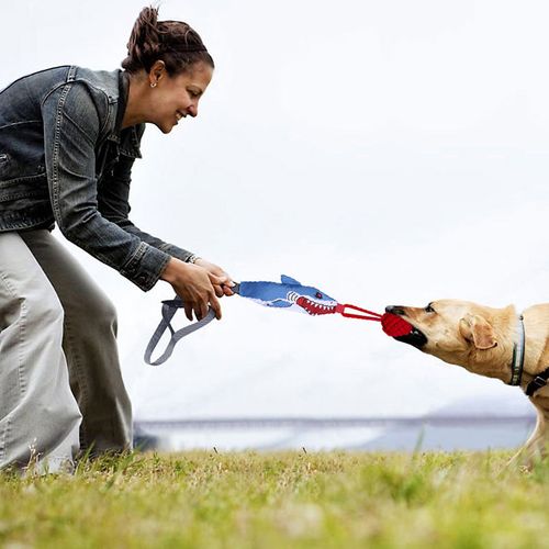 Interactive Shark Dog Tug Toy