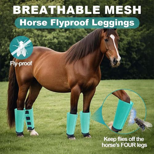 Horse Fly Repellent Leggings