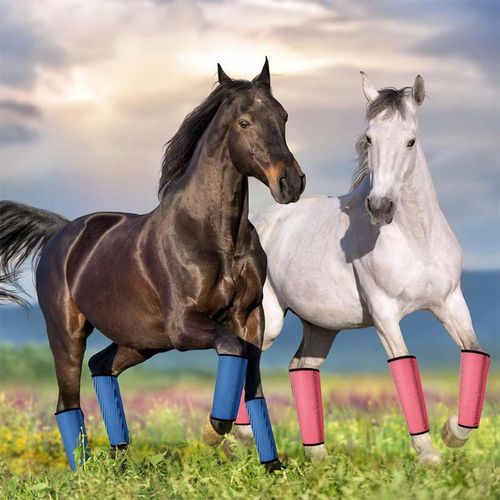Horse Fly Repellent Leggings