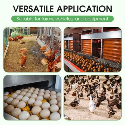Poultry Farm and Equipment Disinfectant Powder