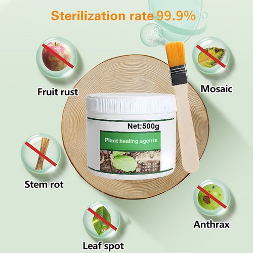 Wound Healing Agent