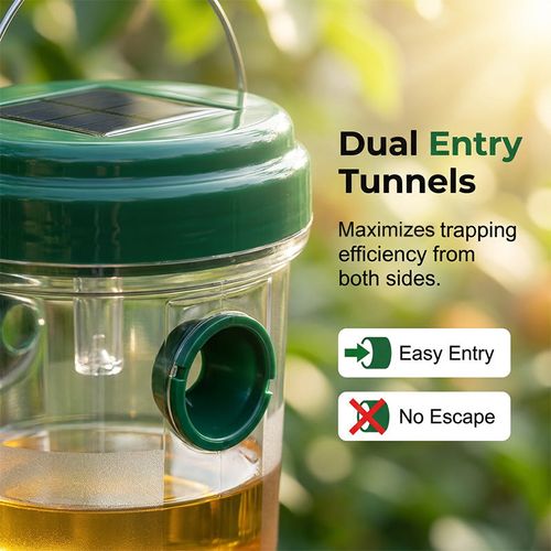 Solar-powered hanging wasp trap
