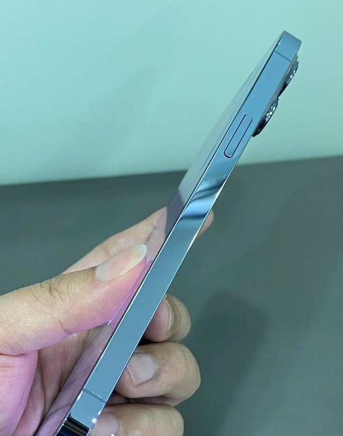 iPhone13 promax 512GB