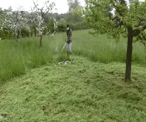 ✨UNIVERSAL 6-Steel Razors Trimmer Head-Enhanced Edition（General purpose brushless motor for gasoline engine oil