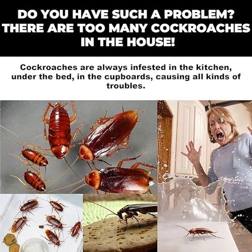 HOGOOD Roach Bait Stations, CockRoach Trap Killer,Natural Cockroach Repellent, Roach Traps Indoor