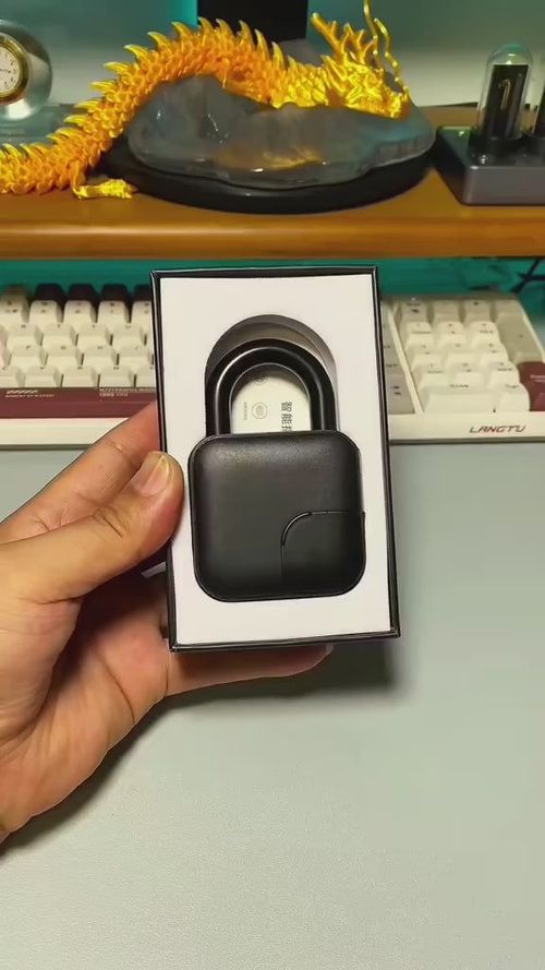 Smart Fingerprint Padlock