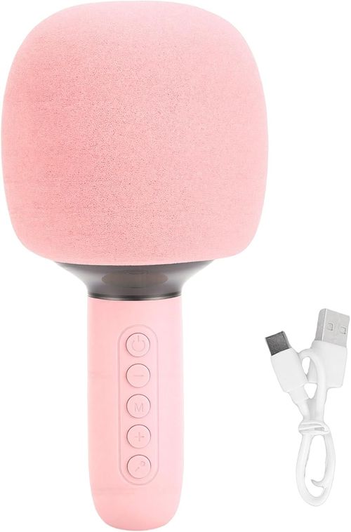 Portable all-in-one microphone and speaker