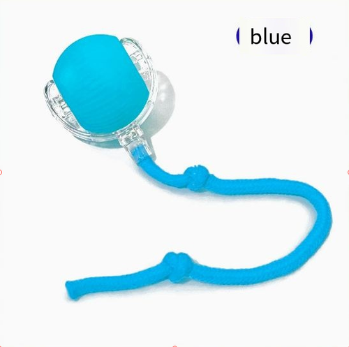 Cat Dog Toy Ball Self Entertaining Pet Toy, Bite Resistant Interactive Ball for Kittens Puppies, Boredom Relief Pet Supplies