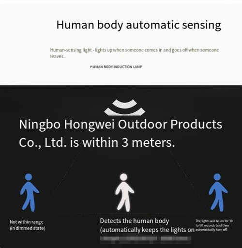 Solar-powered outdoor courtyard light with smart motion sensor and simulated surveillance camera design.