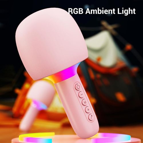 Portable all-in-one microphone and speaker