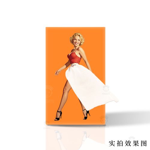 Women's Skirt Creative Tissue Boxes Holder Vintage Cover Up Dress Design Facial