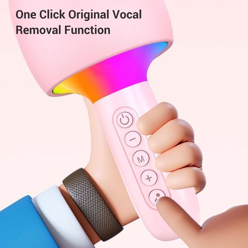 Portable all-in-one microphone and speaker