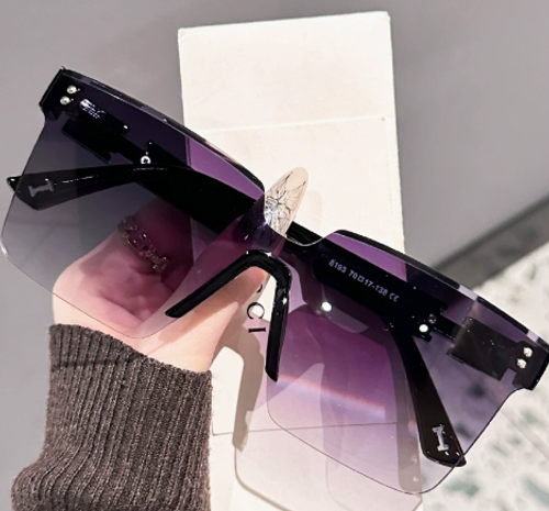 High-end, stylish oversized sunglasses with integrated lettering on the temples, featuring subtle shimmer.