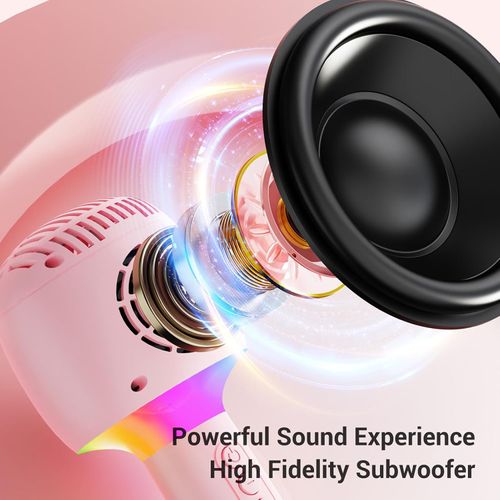 Portable all-in-one microphone and speaker