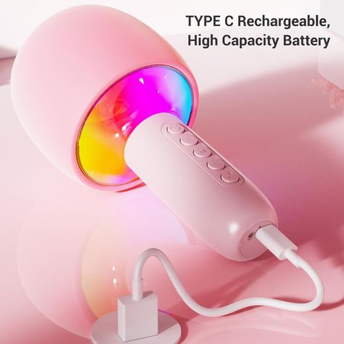 Portable all-in-one microphone and speaker