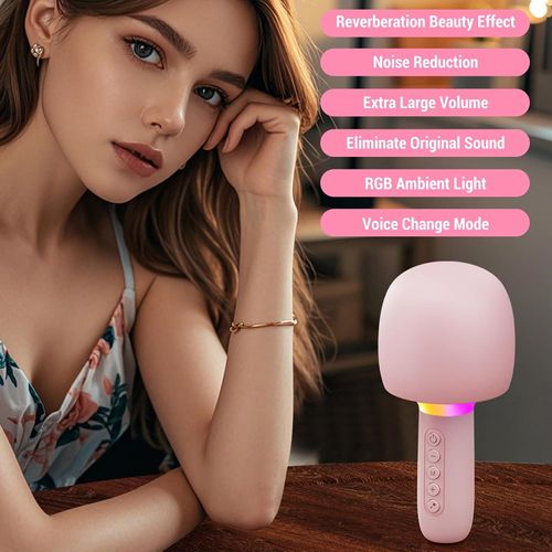 Portable all-in-one microphone and speaker