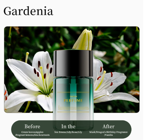 Starry Sky Smart Car Diffuser — Naturally Fragrant Mist Starry Sky Car Diffuser — Intelligent Spray for Long-Lasting Scent Atmospheric Starry Sky Car Diffuser — Light Luxury Odor Elimination Smart Atomizing Diffuser — Natural Freshness in Your Car, All Day Long