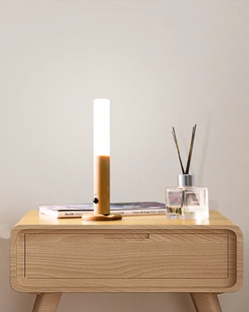 LED Portable Rechargeable Wall Light, Handheld Self-Adhesive Magnetic, with Motion Sensing