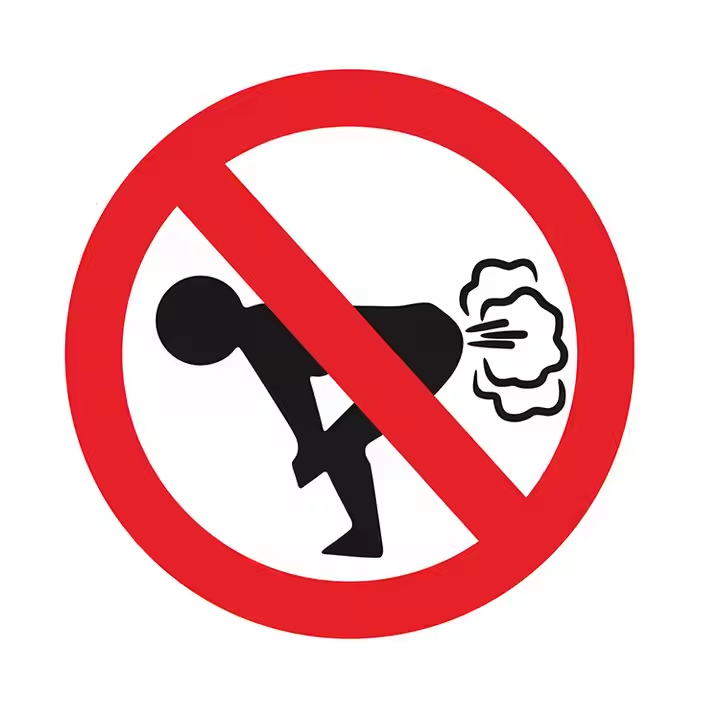 Funny No Farting Vinyl Car Sticker  Durable PET Car Body Sticker