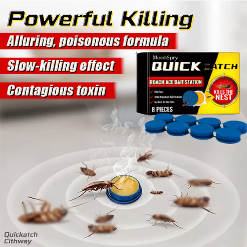 Cockroach bait stations can eliminate pests and are suitable for kitchens, bedrooms, and warehouses.