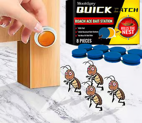 Cockroach bait stations can eliminate pests and are suitable for kitchens, bedrooms, and warehouses.