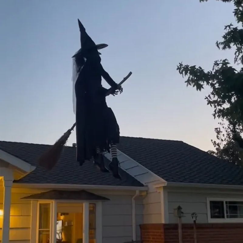 🔥Early Halloween Promotion 49% OFF🔥 - Flying Witch