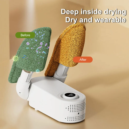 Portable shoe dryer