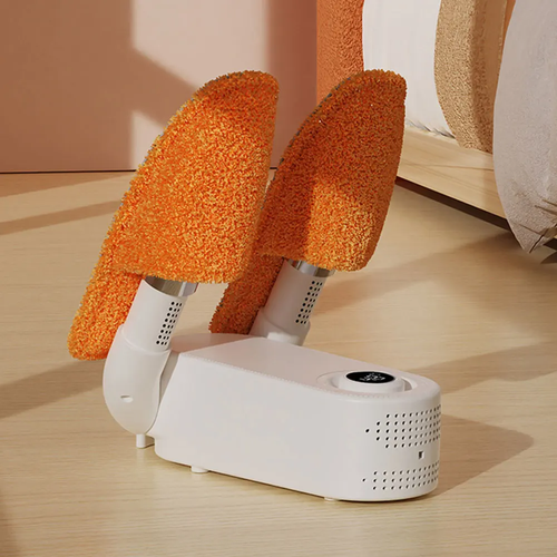 Portable shoe dryer