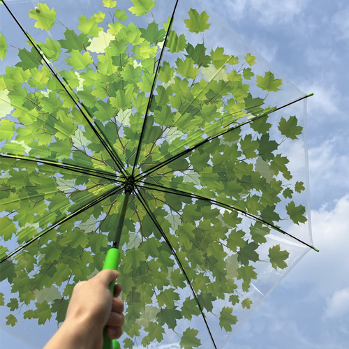 Transparent Maple-Leaf Umbrella - Green or Blue