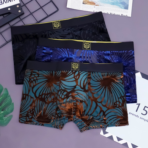 Men's Sexy Antibacterial Mid-Rise Boxer Briefs