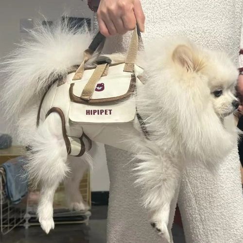 Pet carrier