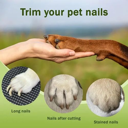 Pet nail clippers