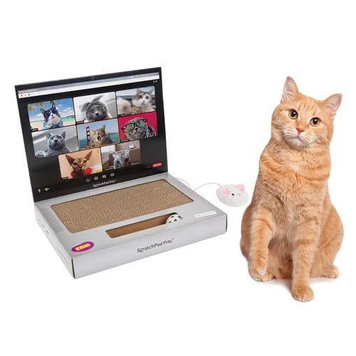 A durable cat scratcher shaped like a laptop