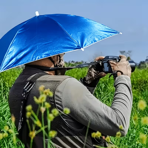 Umbrella
