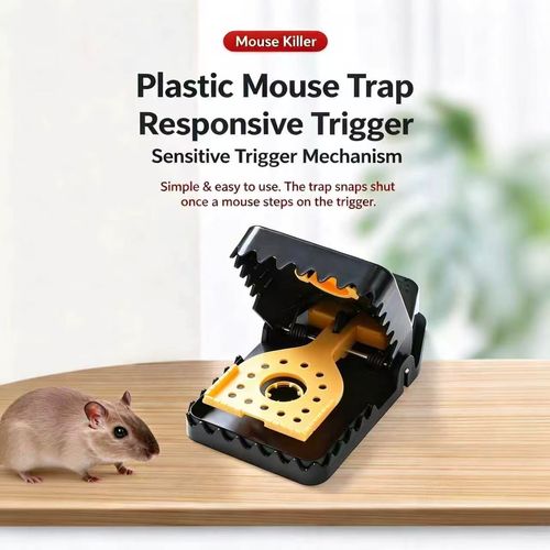 Mousetrap