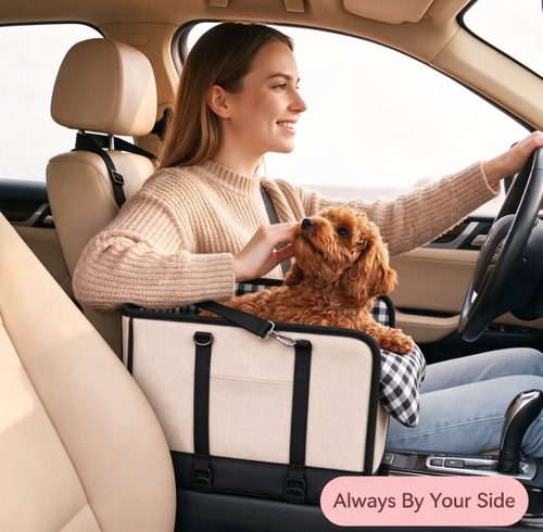 Car pet bed