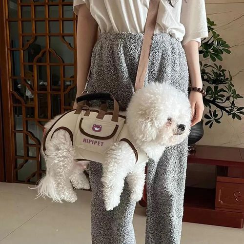 Pet carrier