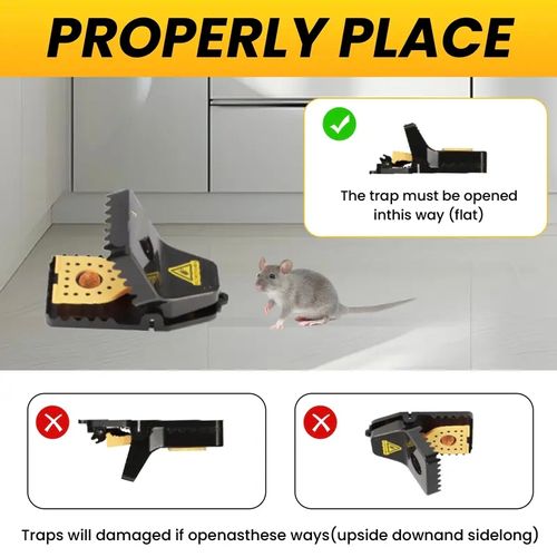 Mousetrap